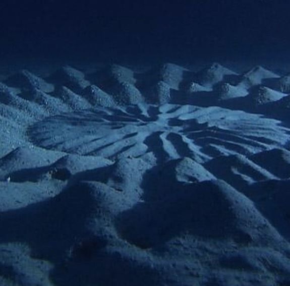 Underwater crop circles 