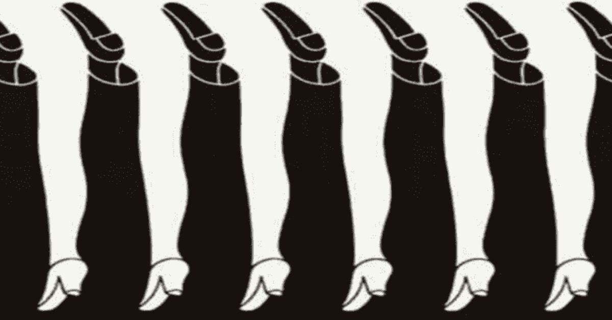 optical illusion legs 