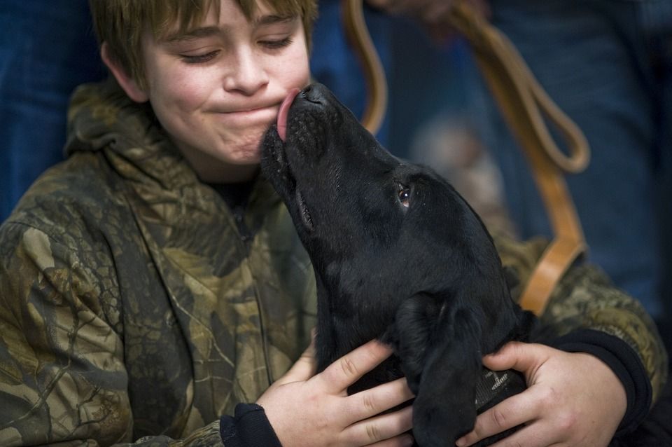 Puppy kidding boy