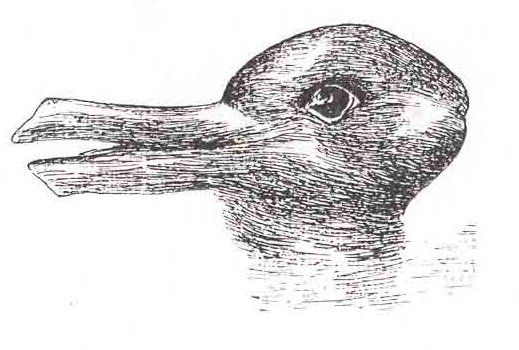 A duck-rabbit illusion