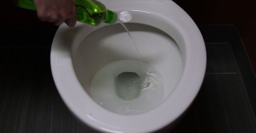 Pouring dishwashing detergent in toilet