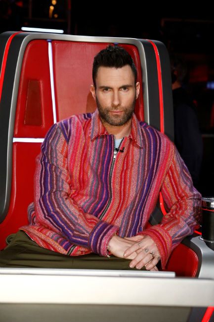 Adam Levine the Voice