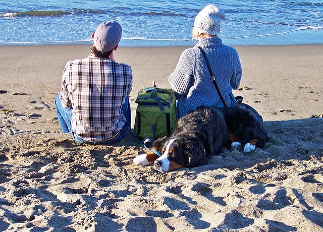 Couple dog beach