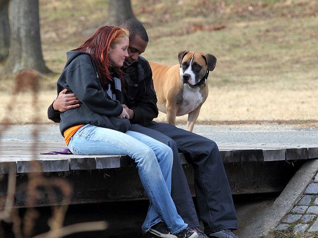 Pet couple