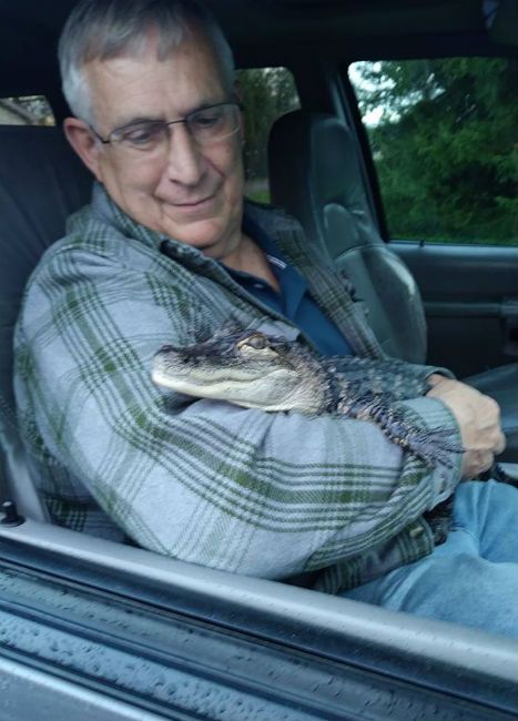 Emotional support alligator