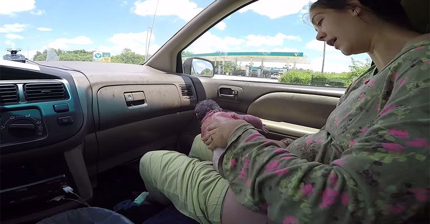 Woman gives birth in car