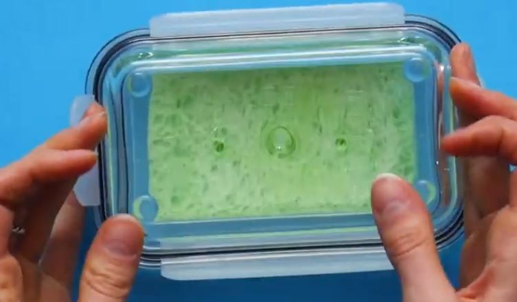 tupperware container made into a dish sponge