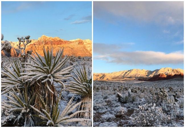 Las Vegas Snow