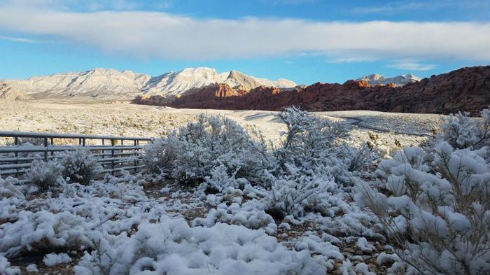 Las Vegas Snow